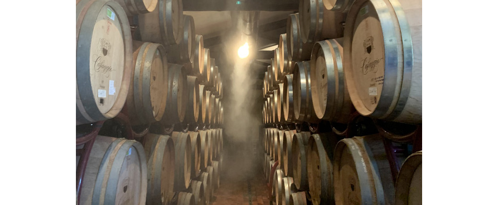 Umidificazione cantine nebulizzazione ancona novembre 2025 migliore rimedio